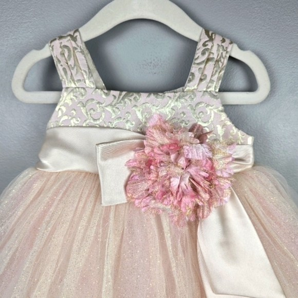 CHANTILLY PLACE Tool Flower Formal Dress Champagne Blush Baby Girl Sz 18 Months - Picture 2 of 12